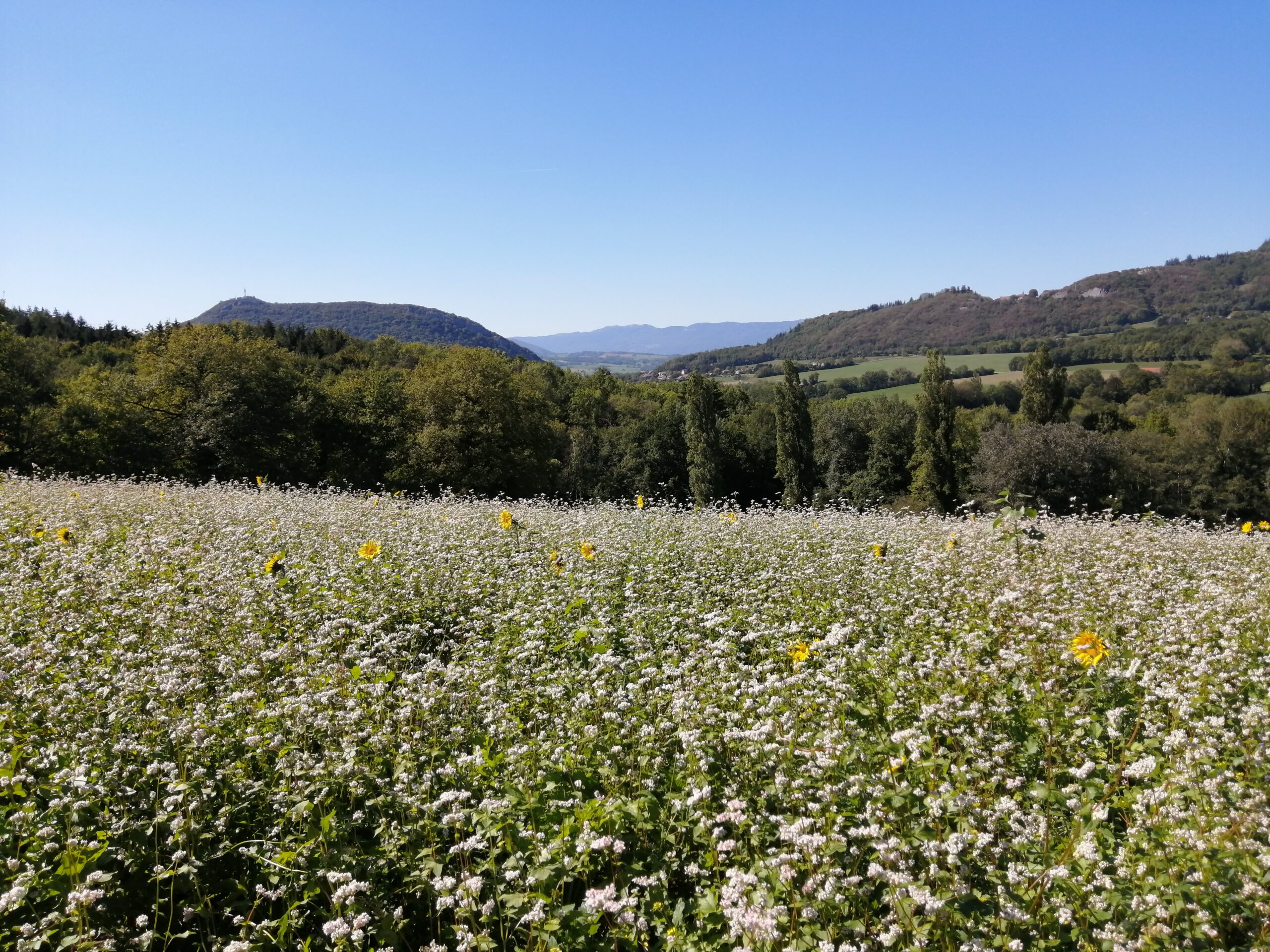 COUVERT GC (1)