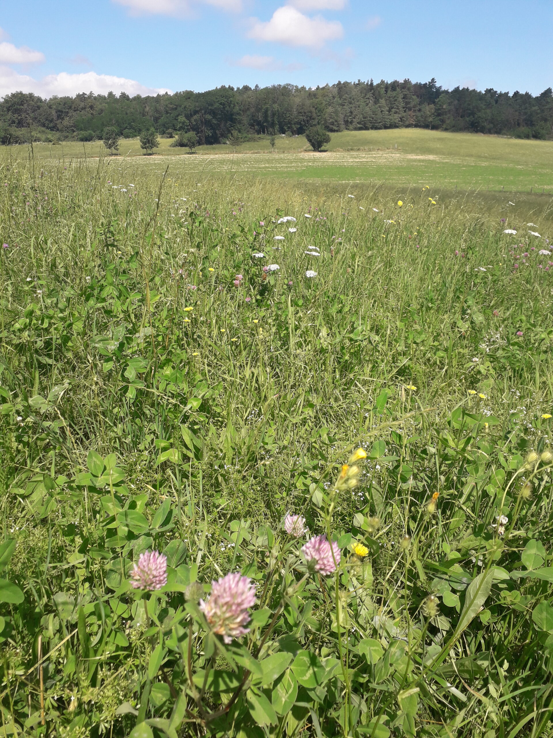 Prairie_agro